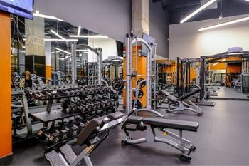 Expansive fitness studio with full olympic lifting platforms, fitness mirror, fitnessondemand, cardio bikes with livestream classes, 24/7 access